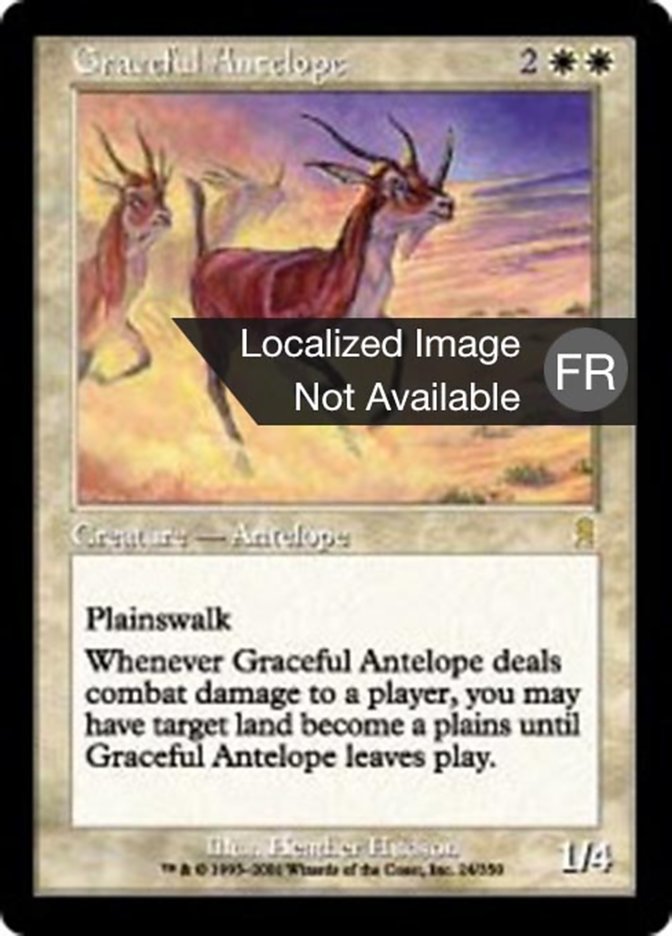 Graceful Antelope