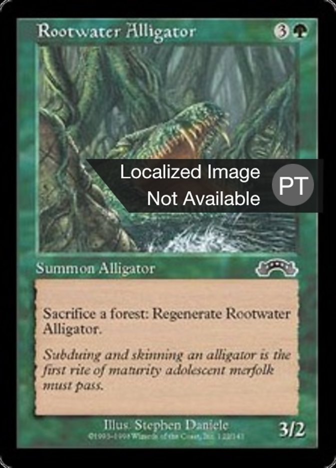 Rootwater Alligator