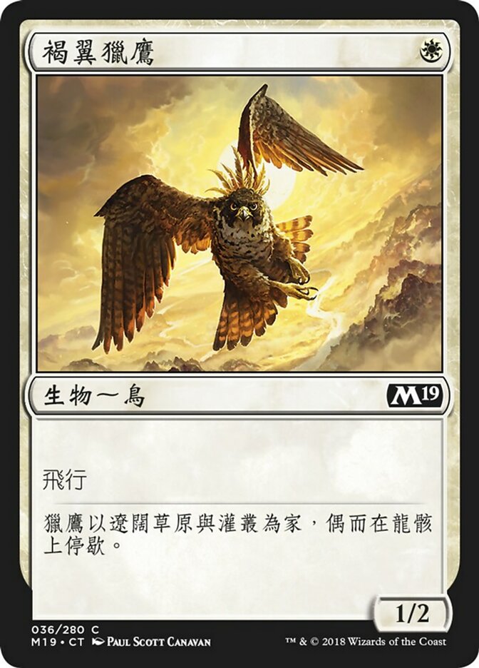 Rustwing Falcon