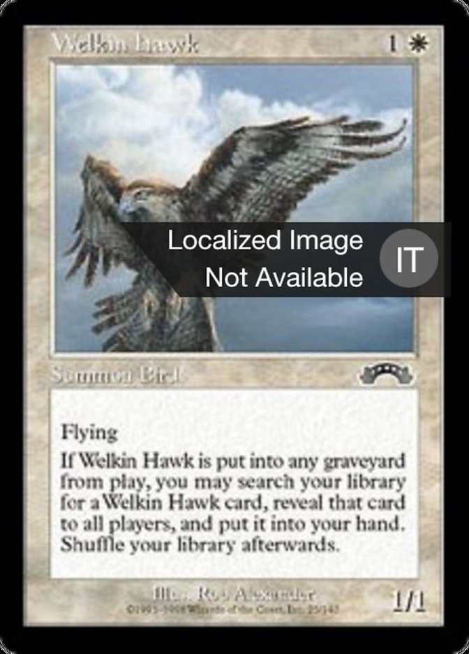 Welkin Hawk