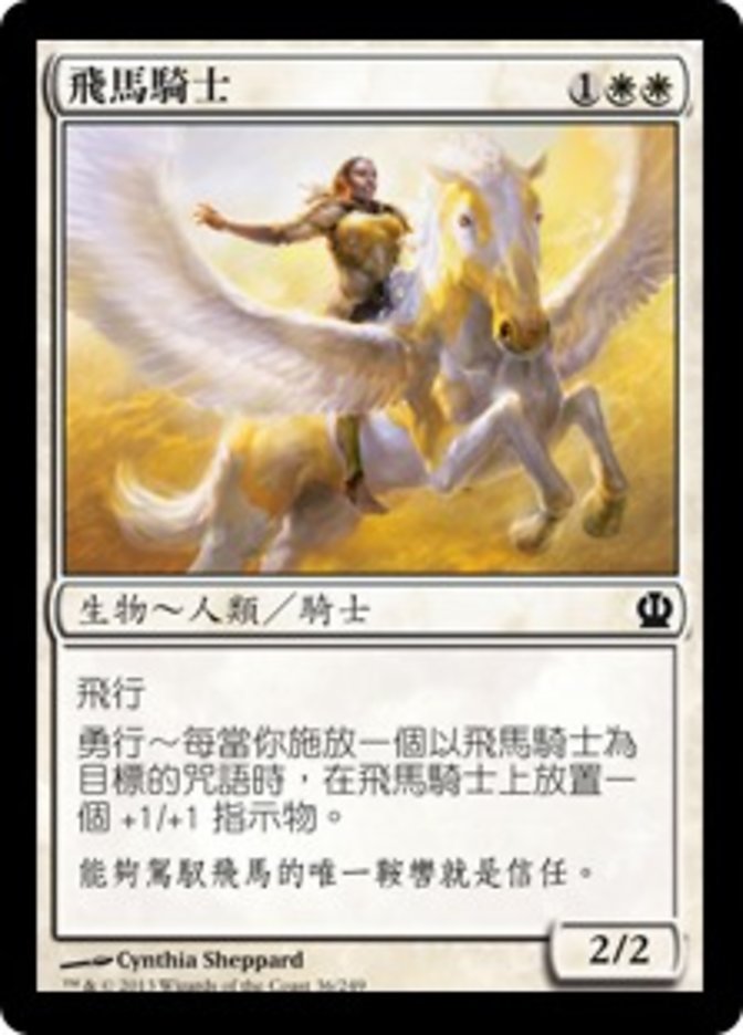 Wingsteed Rider