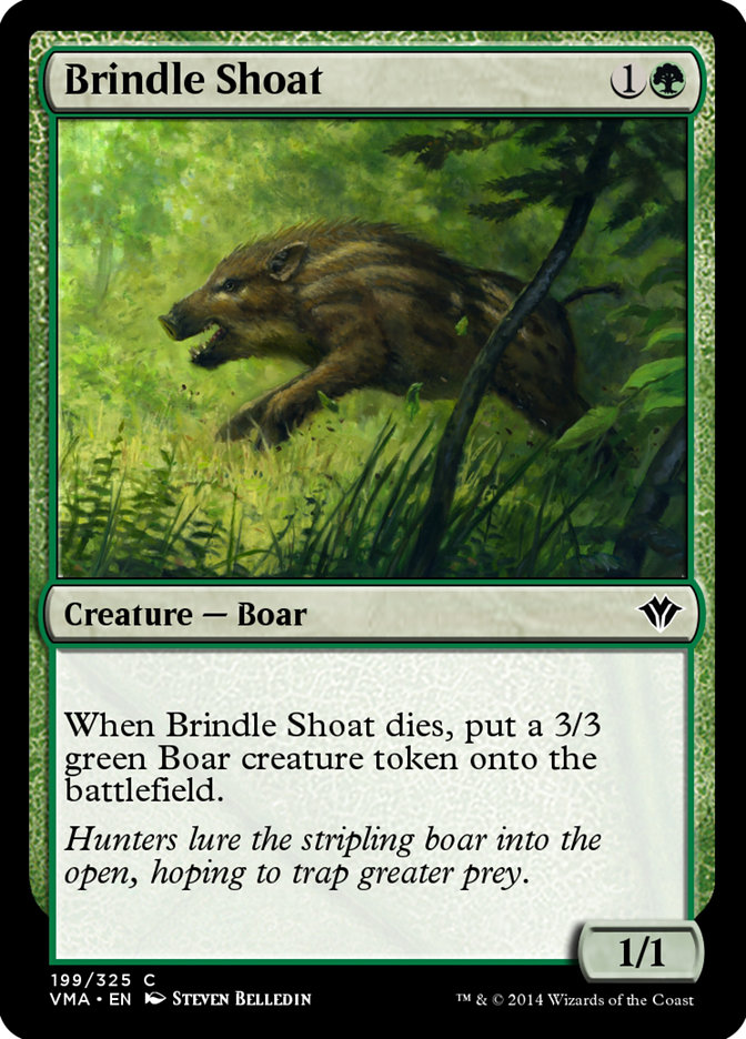 Brindle Shoat