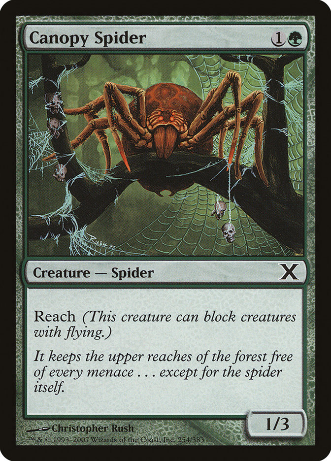 Canopy Spider