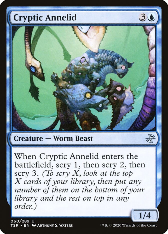 Cryptic Annelid