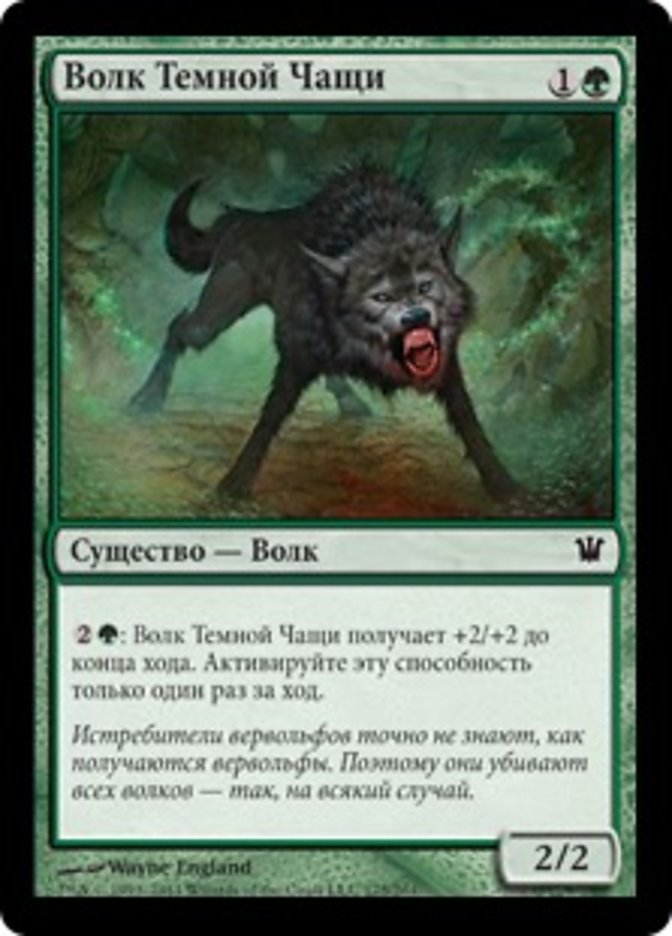 Darkthicket Wolf