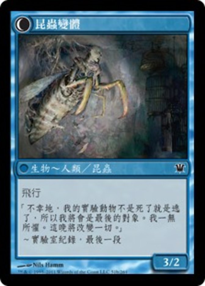 Delver of Secrets // Insectile Aberration