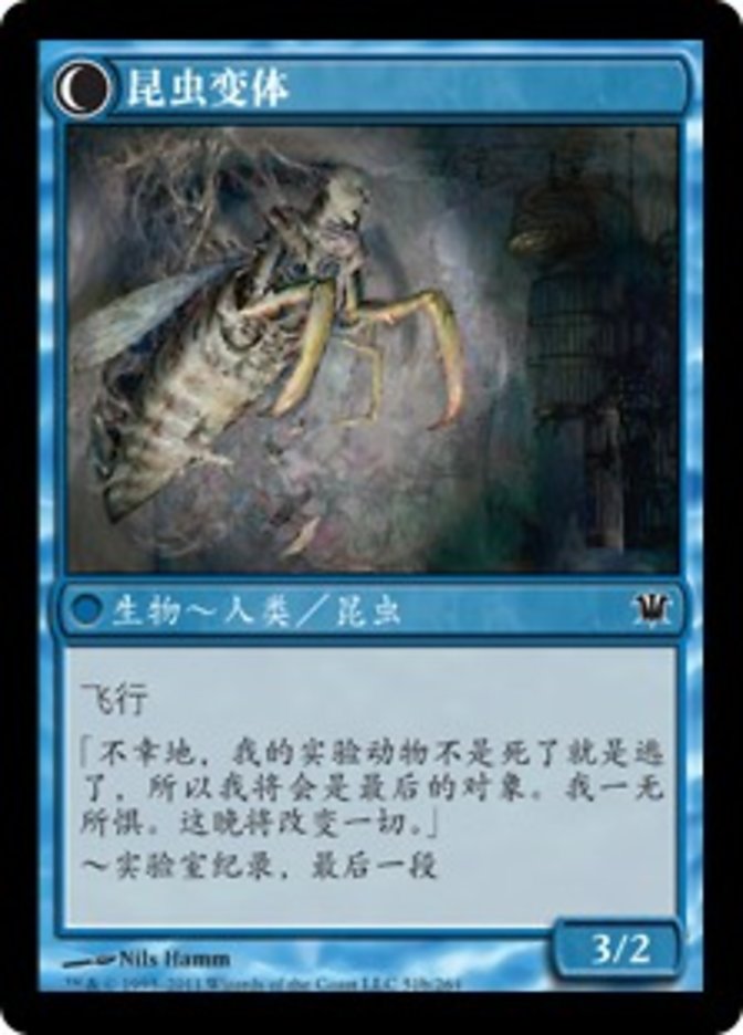 Delver of Secrets // Insectile Aberration