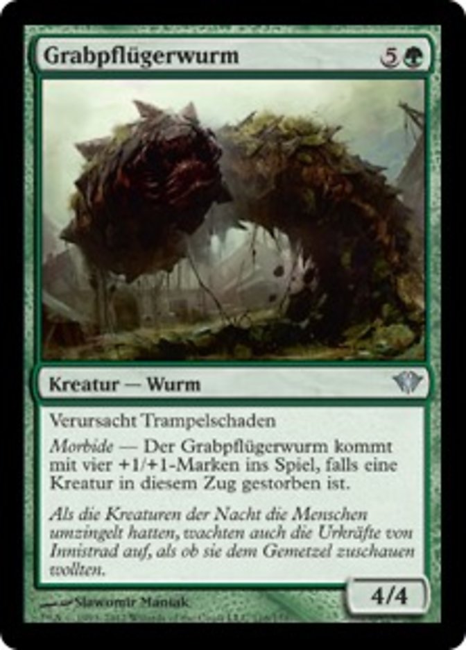 Gravetiller Wurm