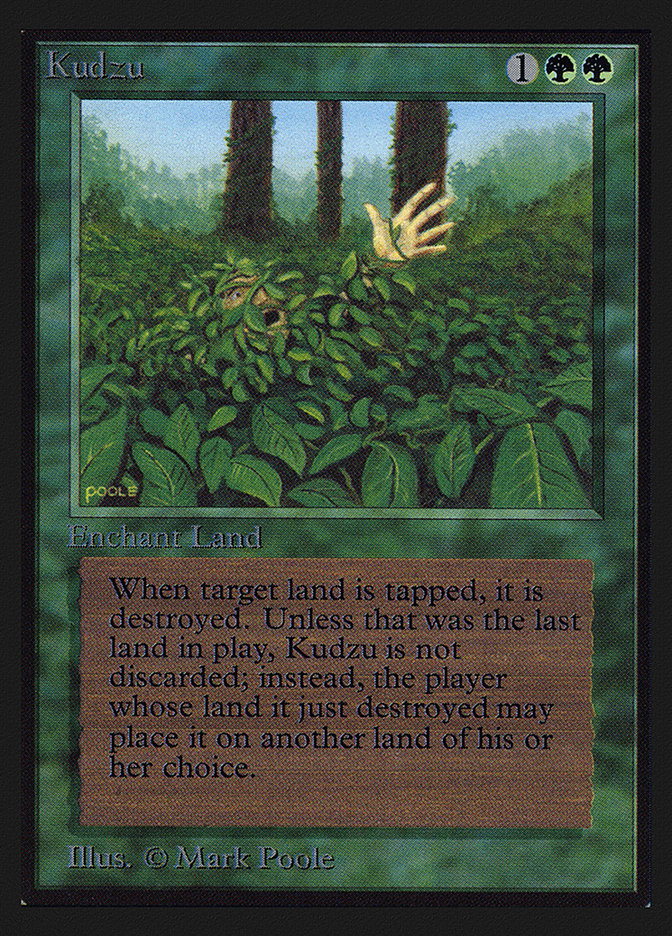 Kudzu