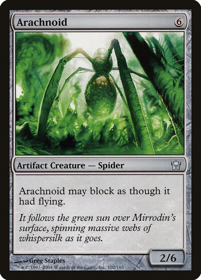 Arachnoid