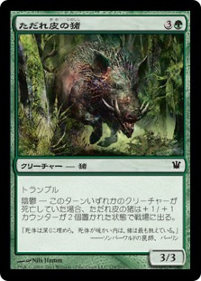 Festerhide Boar