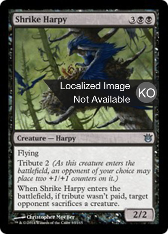 Shrike Harpy