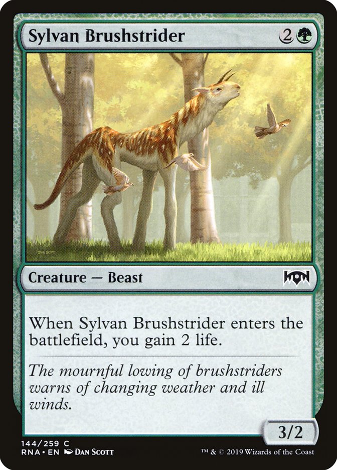 Sylvan Brushstrider