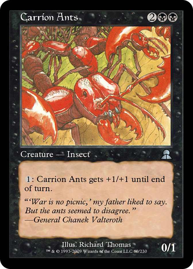 Carrion Ants