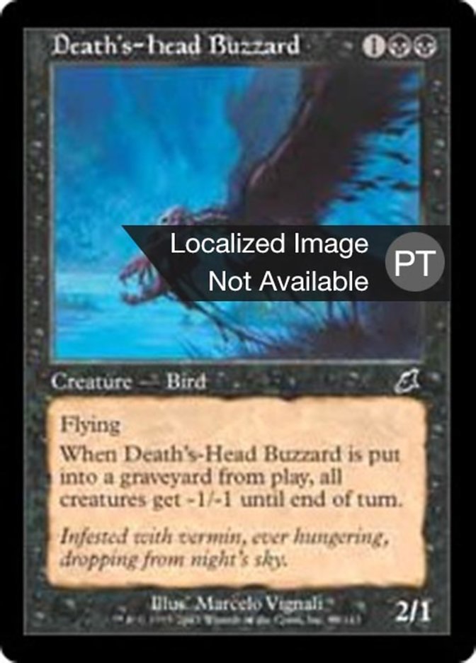 Death's-Head Buzzard