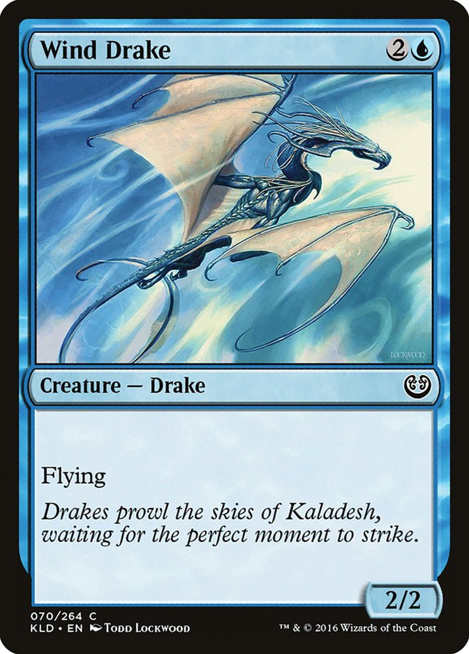 Wind Drake