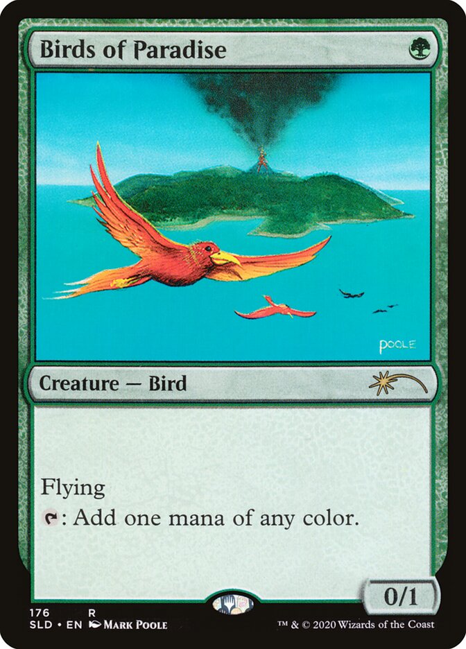 Birds of Paradise