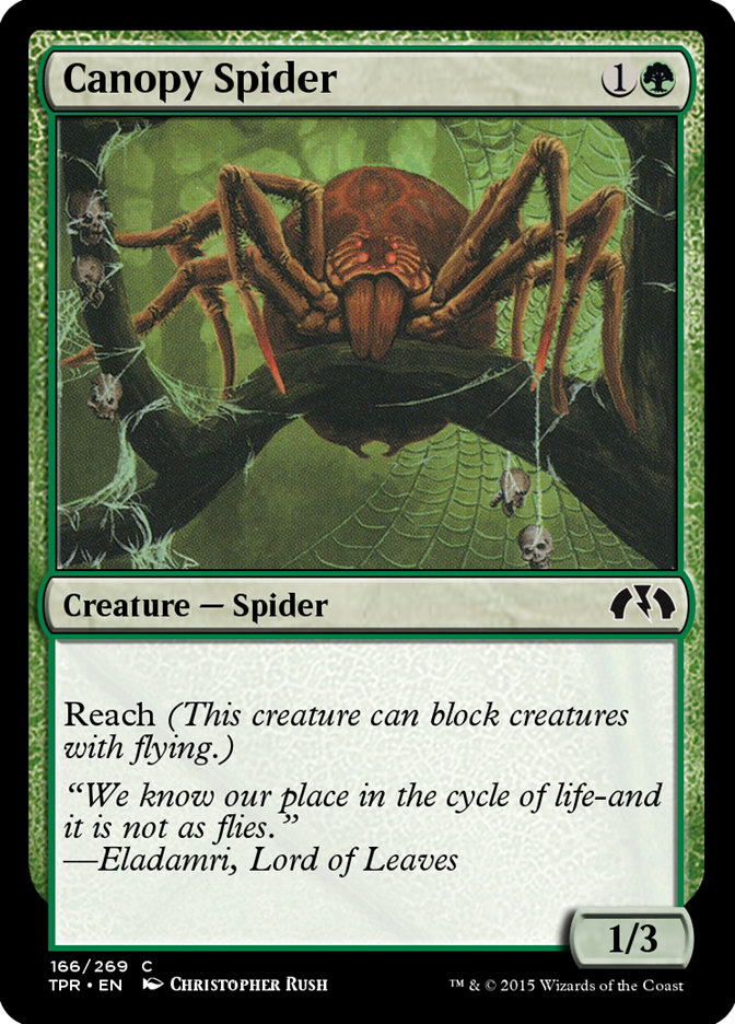 Canopy Spider