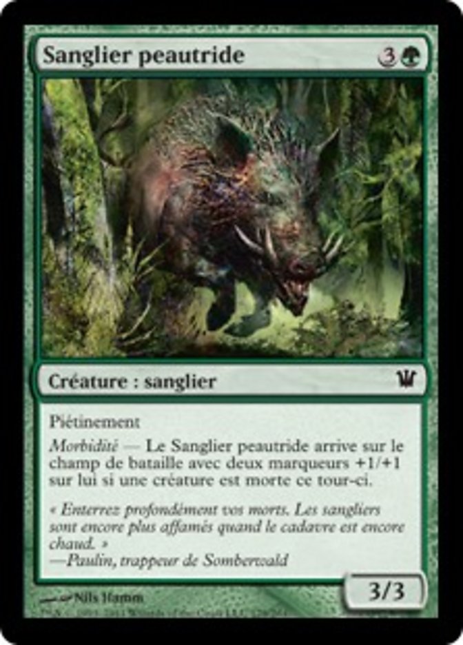 Festerhide Boar