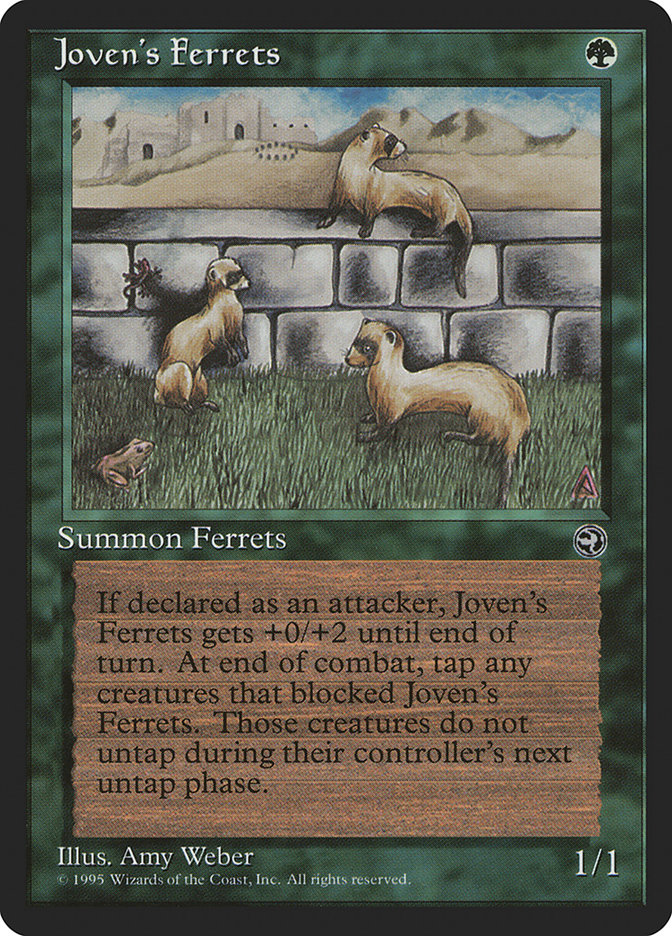 Joven's Ferrets