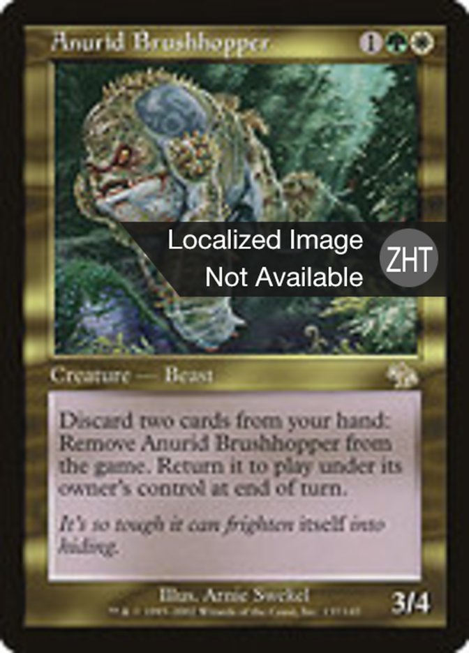 Anurid Brushhopper