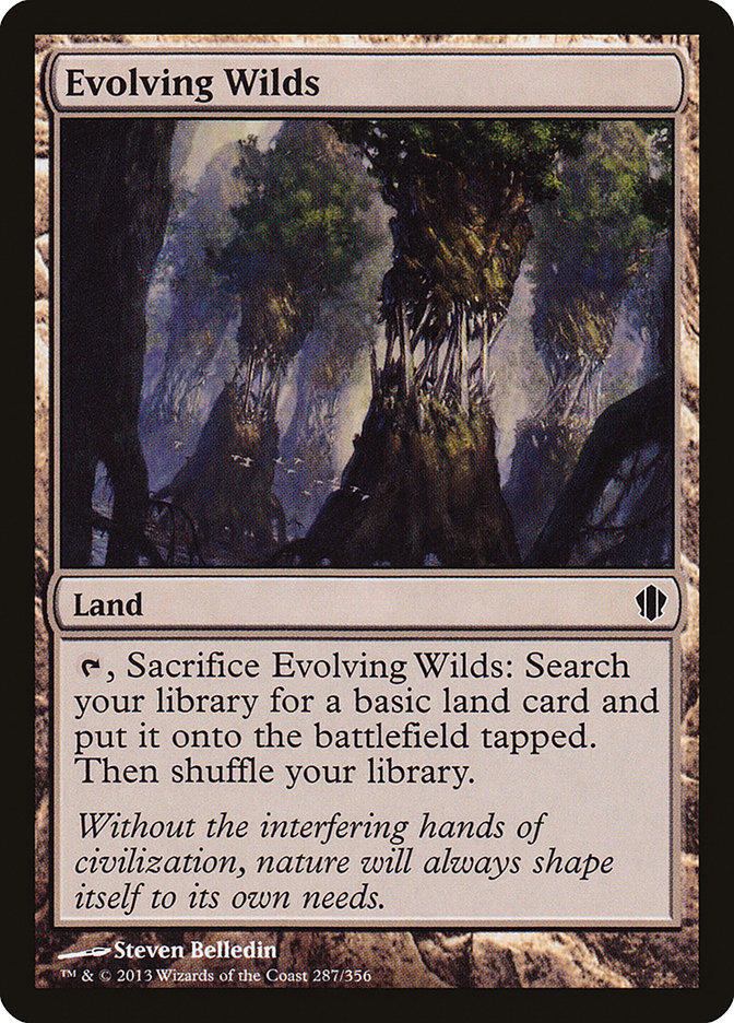 Evolving Wilds