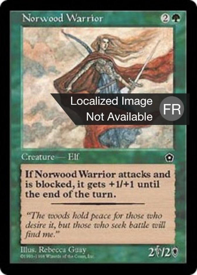 Norwood Warrior