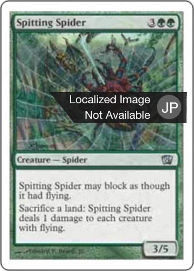 Spitting Spider