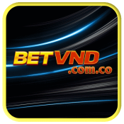 betvndcomco's Foto