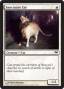 rumors:dark-ascension:sanctuary-cat.full.jpg