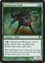 rumors:innistrad:darkthicket-wolf.full.jpg