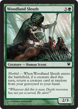 woodland-sleuth.full.jpg